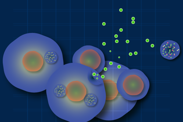 Visual illustration of RNA content of exosomes
